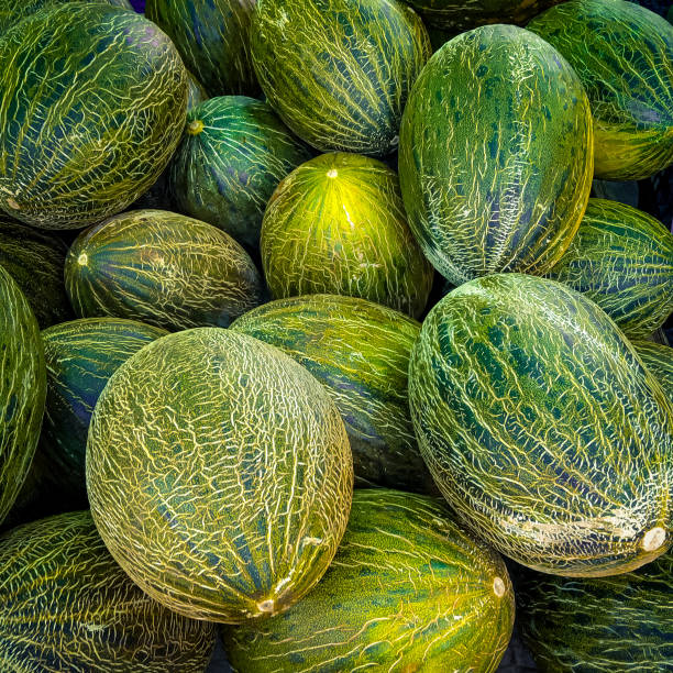 Close up. Full frame of melons in a street market
