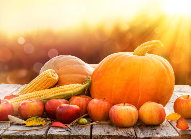 istock Thanksgiving pumpkins with apples and corn on rustic wooden table 1269373897