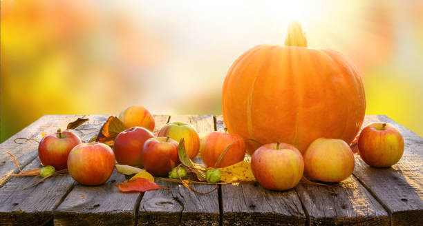 istock Autumn harvesting background with pumpkin and apples 1269373985