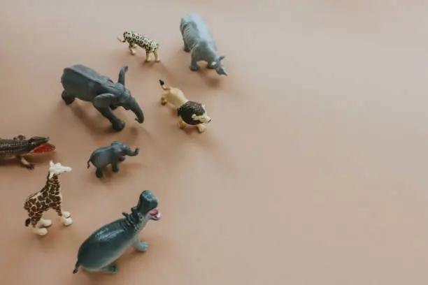 Photo of plastic toy figures of animals. concept of nature protection. space for text, top view.