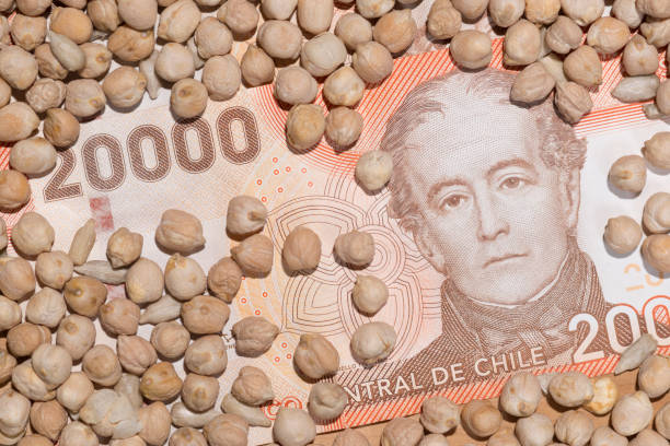 istock Chile and its Agricultural economy. 1269377630