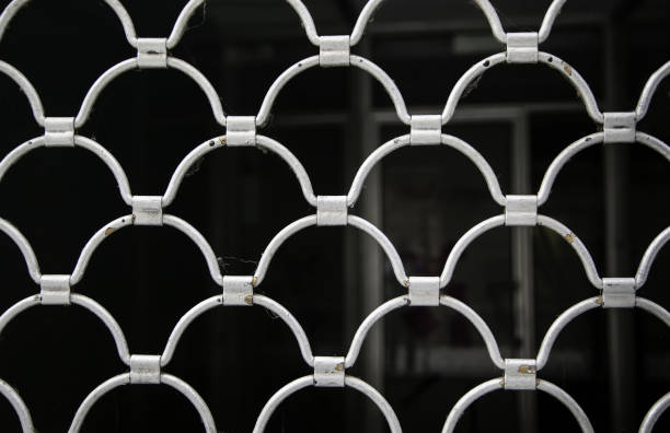 istock Metal fence mesh 1269378599