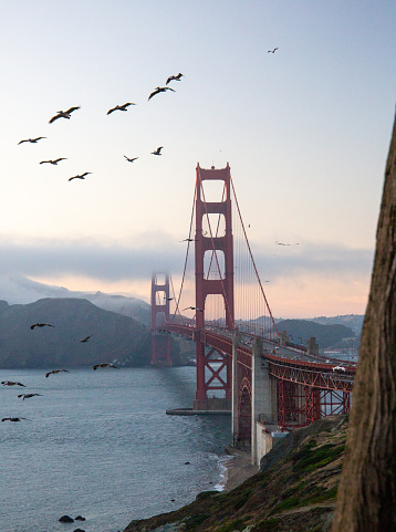 Golden Gate Bridge In the evening in San Francisco, CA, United States