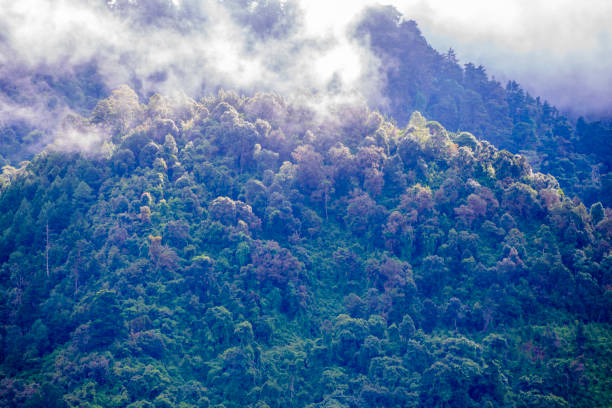 istock Cloudy mountains in Guatemala Central America, panoramic view in the morning. 1269381314