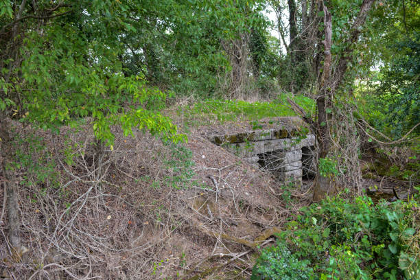 istock Old Stone Bridge in Northern Alabama 1269381664