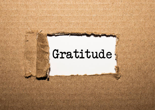 istock The text GRATITUDE. behind torn brown paper 1269383071
