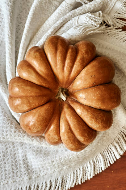 istock Cozy autumn background with pumpkin 1269383475