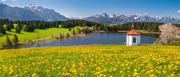 panoramic view to beautiful landscape in Bavaria, Germany panoramic view to beautiful landscape in Bavaria, Germany forggensee lake photos stock pictures, royalty-free photos & images