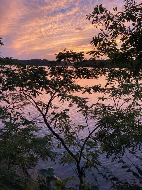 istock Sunset on the lake branches and clouds above 1269387896
