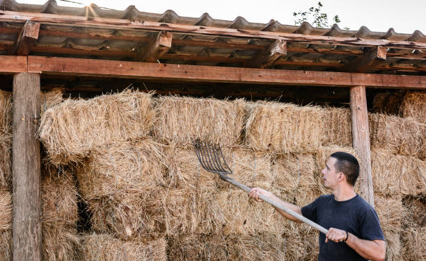 istock A young farmer at work on a farm 1269389814