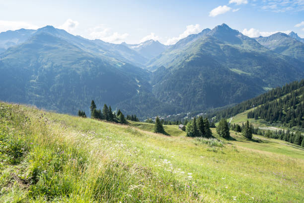 アルプスの牧歌的な夏の風景 - zugspitze mountain mountain tirol european alps ストックフォトと画像