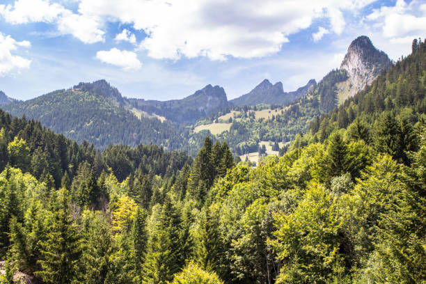 istock Idyllic landscape in the Alps 1269393797