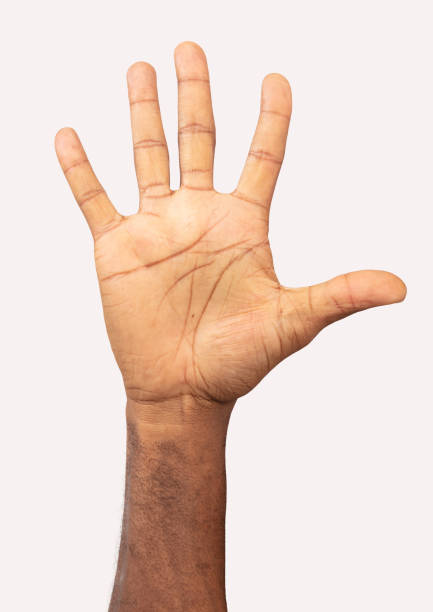istock Black male hand making five sign front of white background. 1269394009