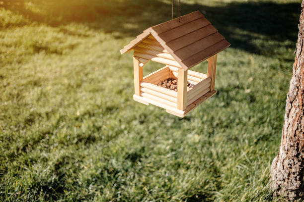 Garden bird feeder in the city park on green background.