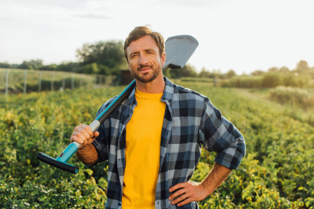 istock farmer in plaid shirt looking at camera while holding shovel in field 1269396120