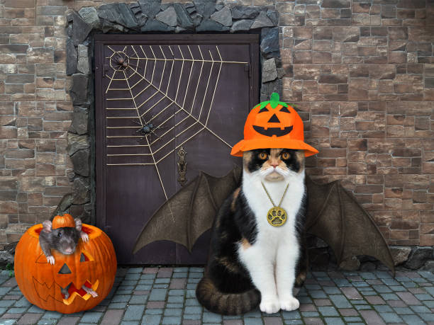 istock Cat with bat wings near castle 1269396197