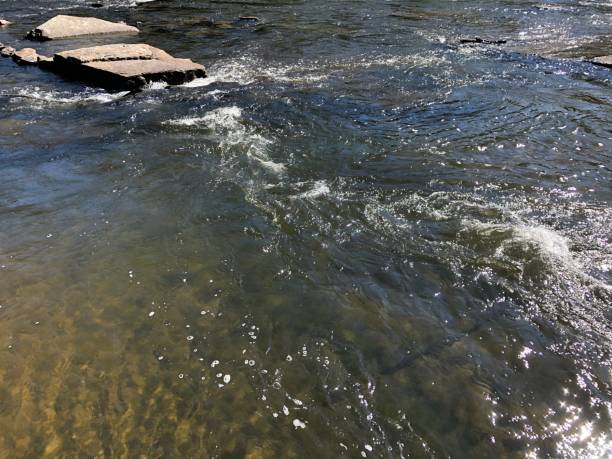 istock View of the river with rocks on the surface 1269398994