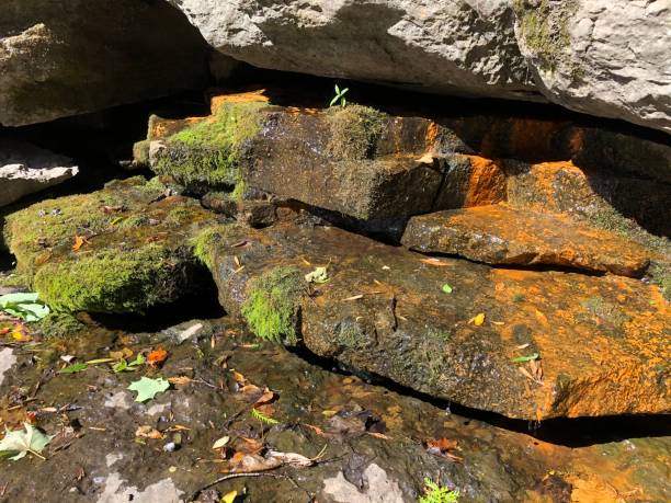 istock Stepped stone wall with water flow and gooey style green moss 1269399547