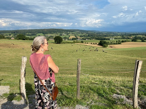 Woman is watching the grazing Lakenveld cattle in a Limburg Valley