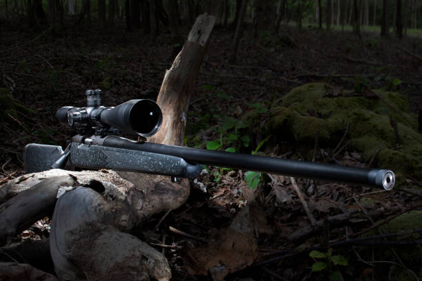 rifle de caza al atardecer en un bosque oscuro - visor de un rifle fotografías e imágenes de stock