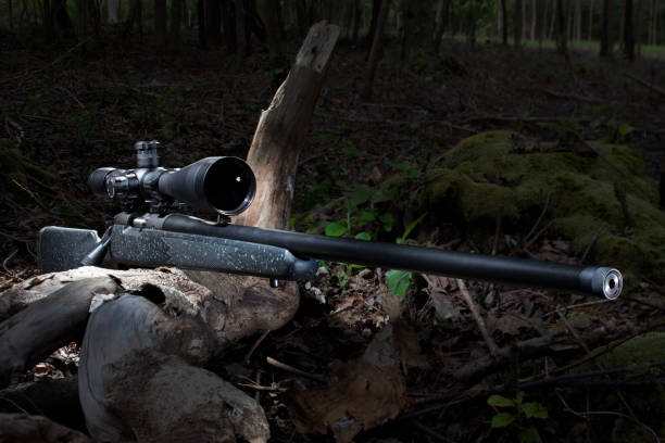 istock Hunting rifle at dusk in a dark forest 1269403833