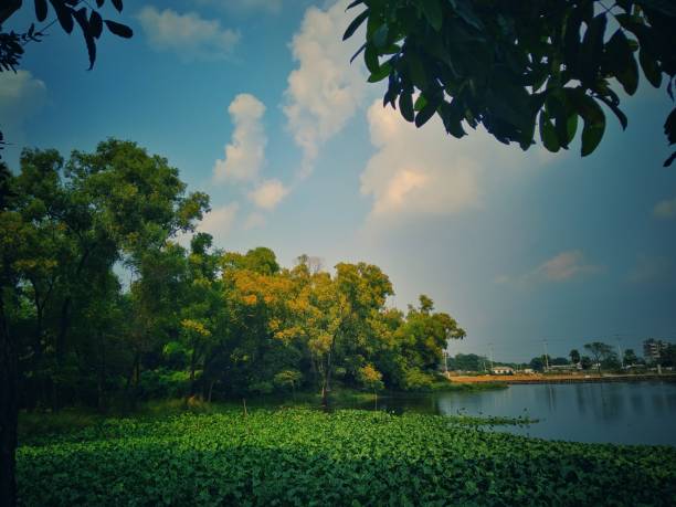 istock Tranquility of Nature 1269403975