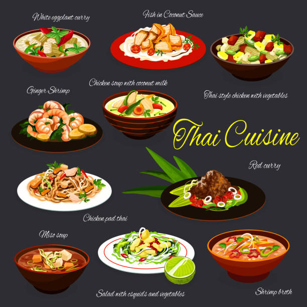 Thai cuisine seafood, meat and vegetable food Thai cuisine seafood and meat dishes, vector food. Vegetable squid salad, chicken and miso soups, red curry paste, shrimp broth and pad thai, fish in coconut sauce, eggplant curry and ginger prawn pad thai stock illustrations