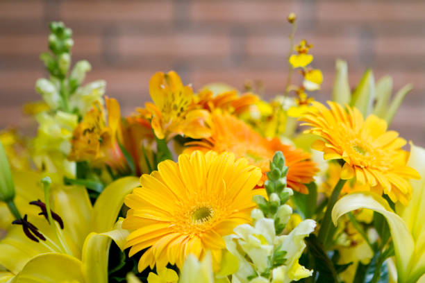Beautiful set of yellow flowers in natural light. Background. Decoration and home decor concept. Wedding day.