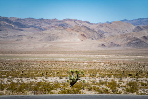 Desert