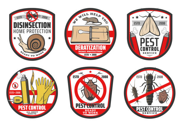  Ilustración de Iconos De Control De Plagas Servicio De Desinfección De Insectos y más Vectores Libres de Derechos de Control de plagas