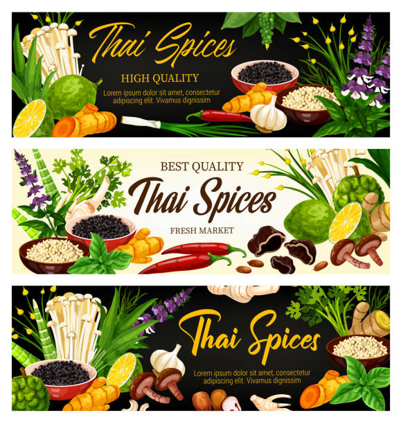 Thai spices, herbs and seasonings, food condiments Thai spices, herbs and seasonings, food cooking condiments, vector farm market banners. Thai cuisine spices ginger, lemongrass and kaffir, galangal root and chili pepper, Asian herbal ingredients ginger ground spice root stock illustrations
