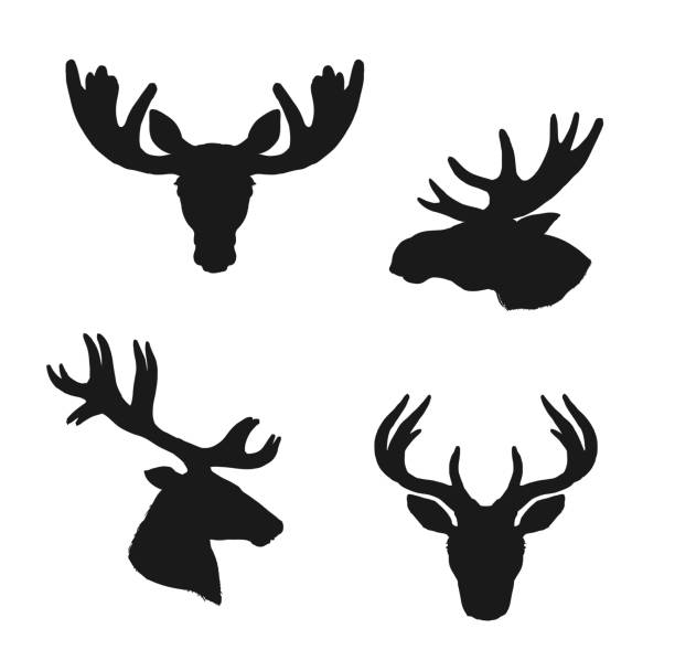 Elk moose, deer silhouettes, animals hunting icons Elk moose and deer silhouettes, animals and hunting vector icons, Elk stag and deer or reindeer and roe heads with antlers and horns, wild hunt and wildlife zoo symbols set black family crest stock illustrations