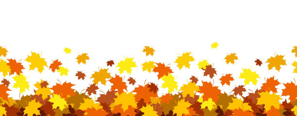 nahtlose grenze mit fallenden ahornblättern, herbsthintergrund - autumn leaf falling panoramic stock-grafiken, -clipart, -cartoons und -symbole