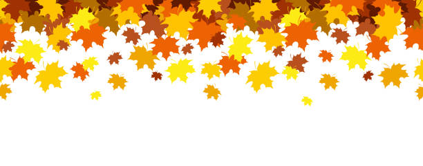 nahtlose grenze mit fallenden ahornblättern, herbsthintergrund - autumn leaf falling panoramic stock-grafiken, -clipart, -cartoons und -symbole