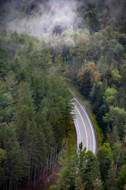 istock Curved road going through the middle of a green forest 1269408368