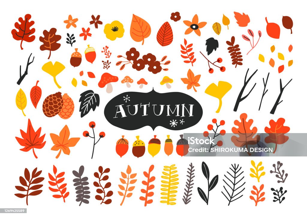 Vector set of autumn icons. Falling leaves, acorns, pinecones and old twigs. - Royalty-free Outono arte vetorial