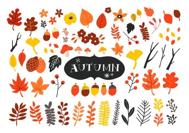Vector illustration of Vector set of autumn icons. Falling leaves, acorns, pinecones and old twigs.