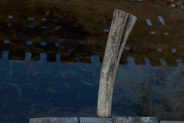 A closeup of pier details. The lake on a sunny day.  Calm water.