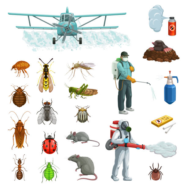 ilustrações, clipart, desenhos animados e ícones de conjunto de desenhos animados de controle de pragas com insetos de pragas, roedor - service pest insect fly