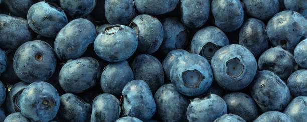 Texture blueberry berries close up
