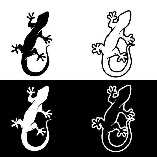 jaszczurka kameleon gecko silhouette czarny wektor - cute animal reptile amphibian stock illustrations