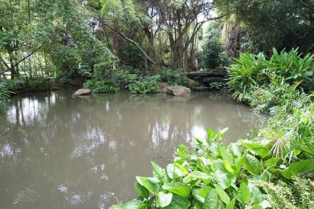 istock lake in nature garden 1269440027