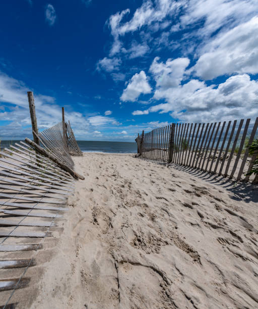 istock Sunrise at the Beach 1269441666