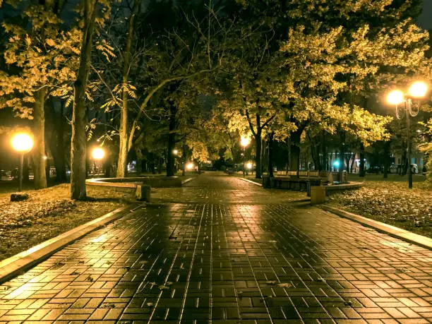 Photo of autumn park at night. wet footpath reflect streetlights