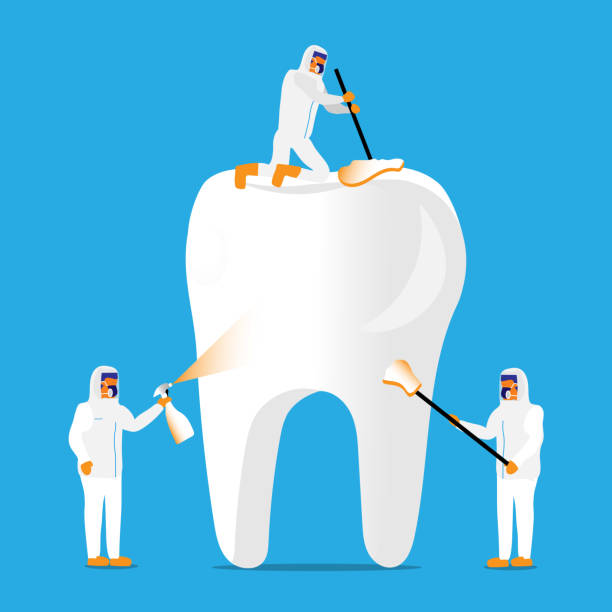 ilustrações de stock, clip art, desenhos animados e ícones de teeth cleaning - human teeth defending dental equipment brushing