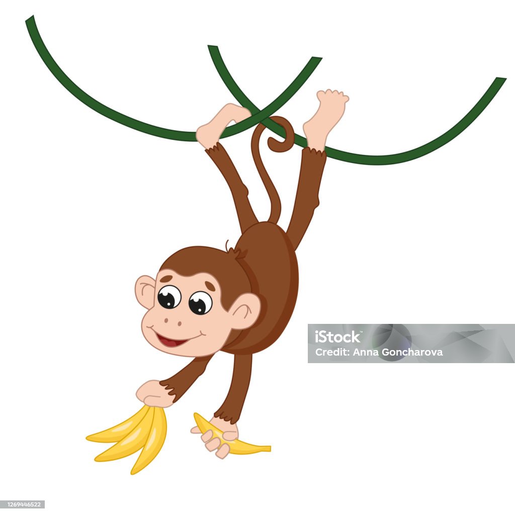 Cartoon Brown Monkey With Bananas On A Vine Stock Illustration - Download  Image Now - Animal, Animal Body Part, Animal Hair - iStock