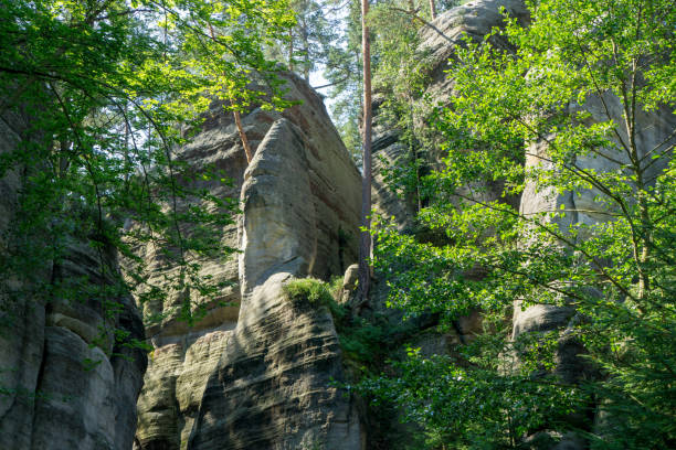istock Rock town in Adrspach, Czech Republic 1269446685