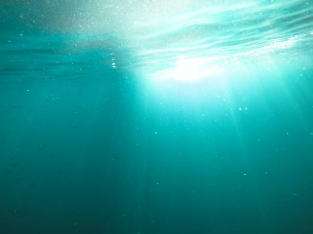istock underwater texture shot blue sea water with sunbeam 1269457082