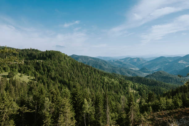 istock Aerial view at mountain forest on a summer day 1269462469