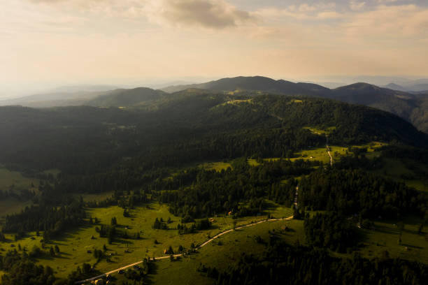 istock Aerial view at mountain forest on a summer day 1269462537